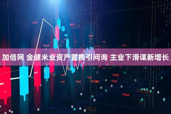 加倍网 金健米业资产置换引问询 主业下滑谋新增长