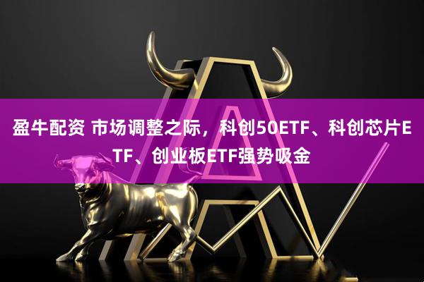 盈牛配资 市场调整之际，科创50ETF、科创芯片ETF、创业板ETF强势吸金